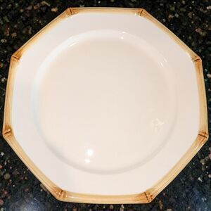 Dinner Plate Vintage Rare Taste Setter Sigma Bamboo Mint Condition 10.5"
